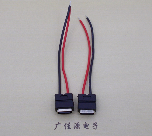 石碣镇type c2p防水母座焊线式带线注塑成型带接线端子/不带接线端子充电连接器